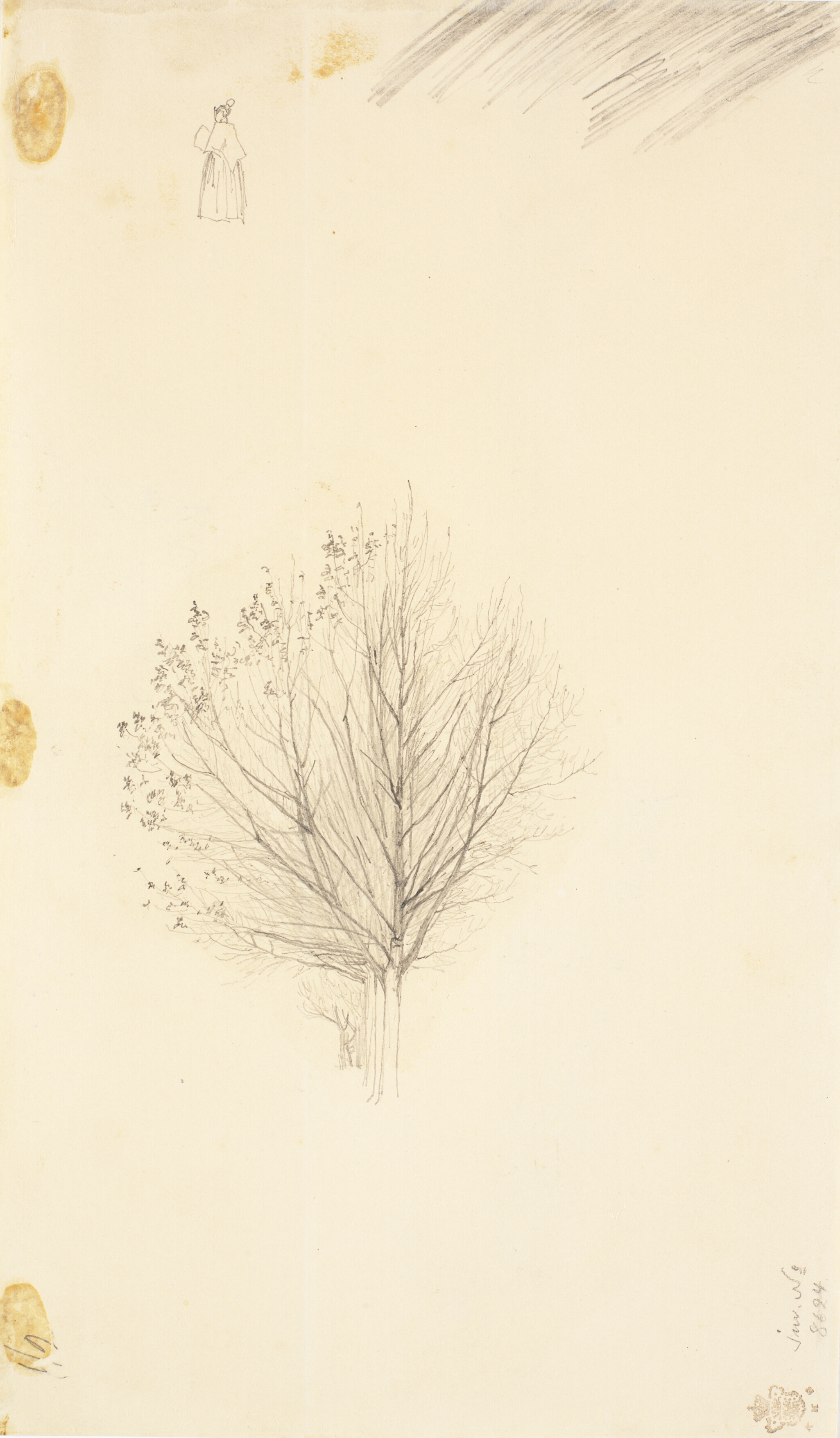 Studie til rækken af træer i samme billede som recto, samt et lille figurrids